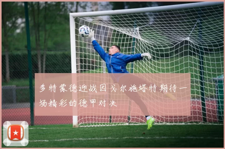 多特蒙德迎战因戈尔施塔特期待一场精彩的德甲对决