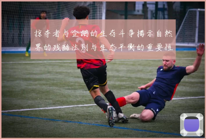 掠夺者与企鹅的生存斗争揭示自然界的残酷法则与生态平衡的重要性