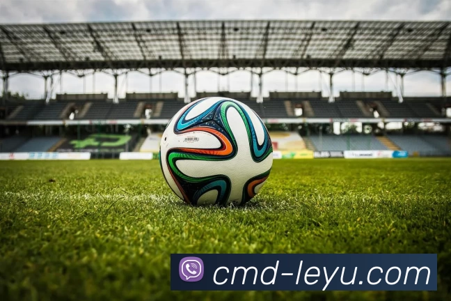 乐鱼网站品牌故事